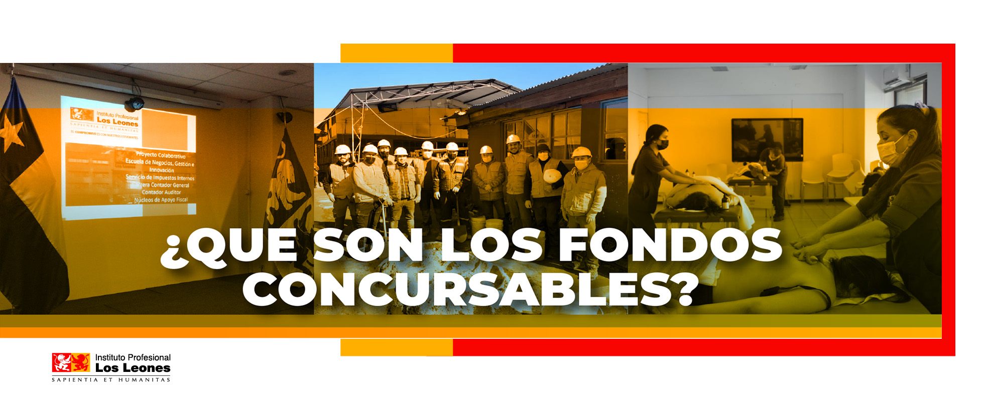 Ganadores fondos concursables IPLL