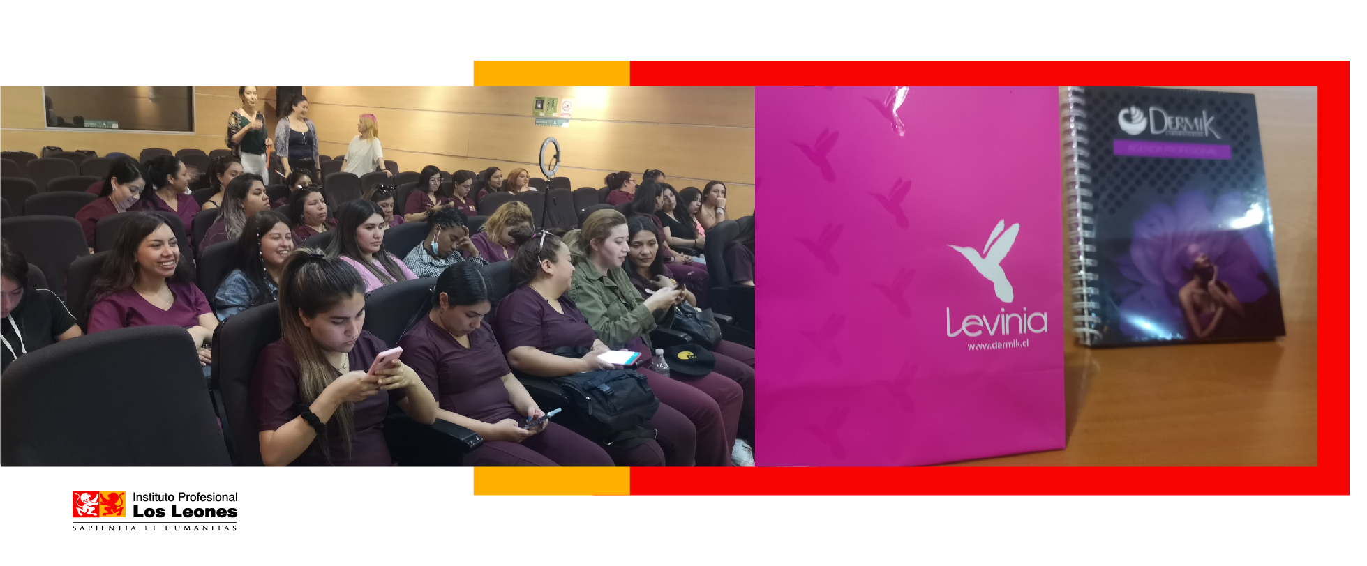 Dermik estuvo presente en el IPLL