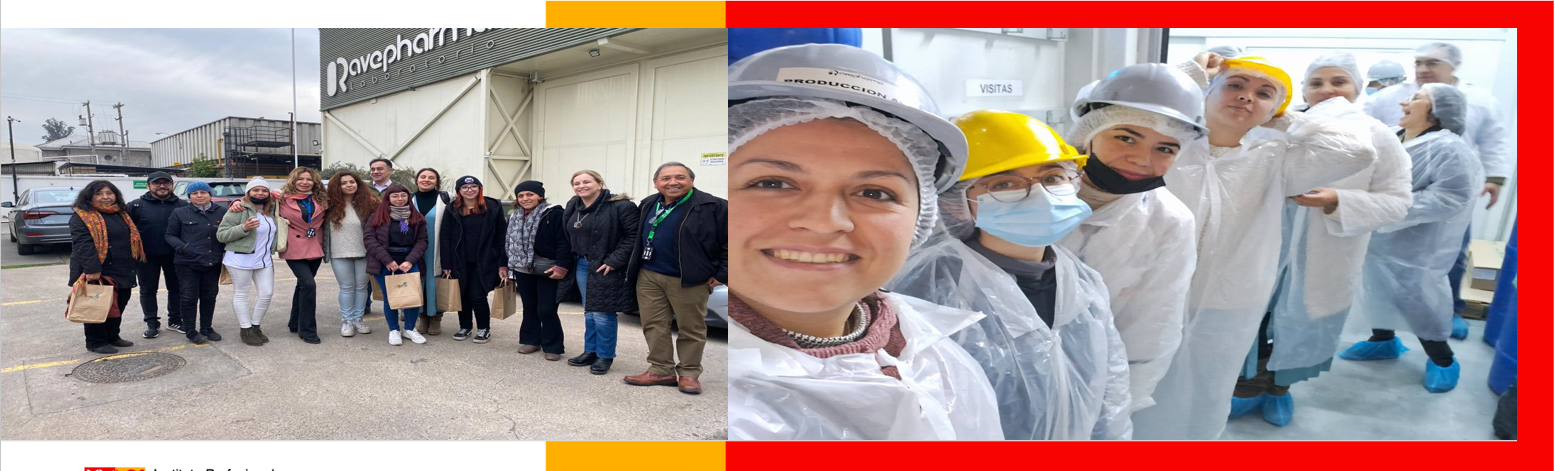 Salida a terreno de las carreras Naturopatía y Terapias Naturales