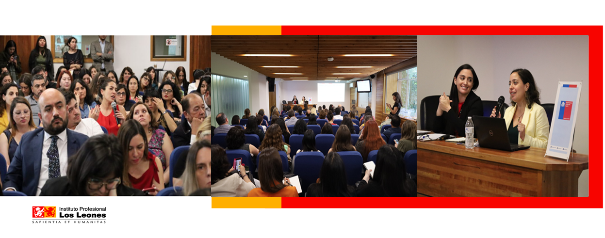La Unidad de Género de IP Leones participó en el seminario impulsado por la Subsecretaría de Educación Superior: «Modificación circular ley 21.369»