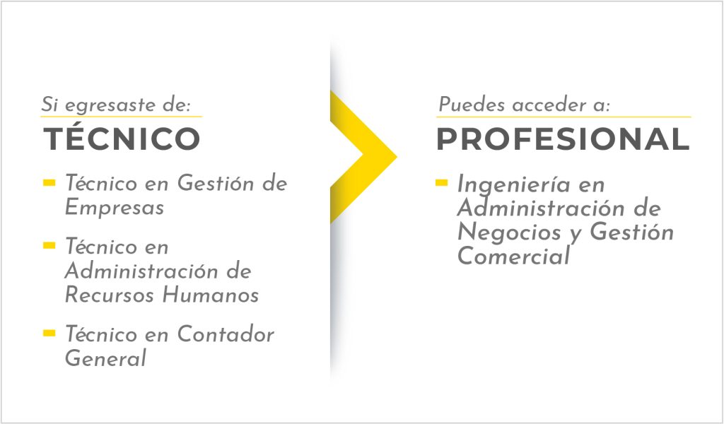 Carreras a Ingeniería en Administración de Negocios y Gestión Comercial