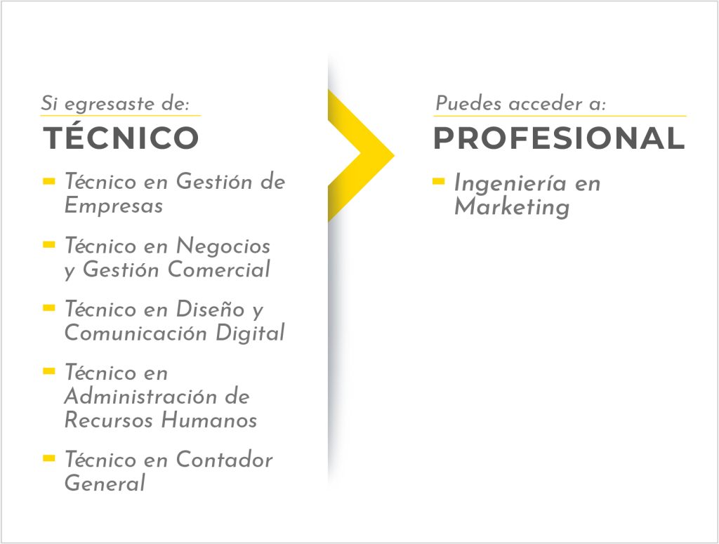 Carreras a Ingeniería en Marketing