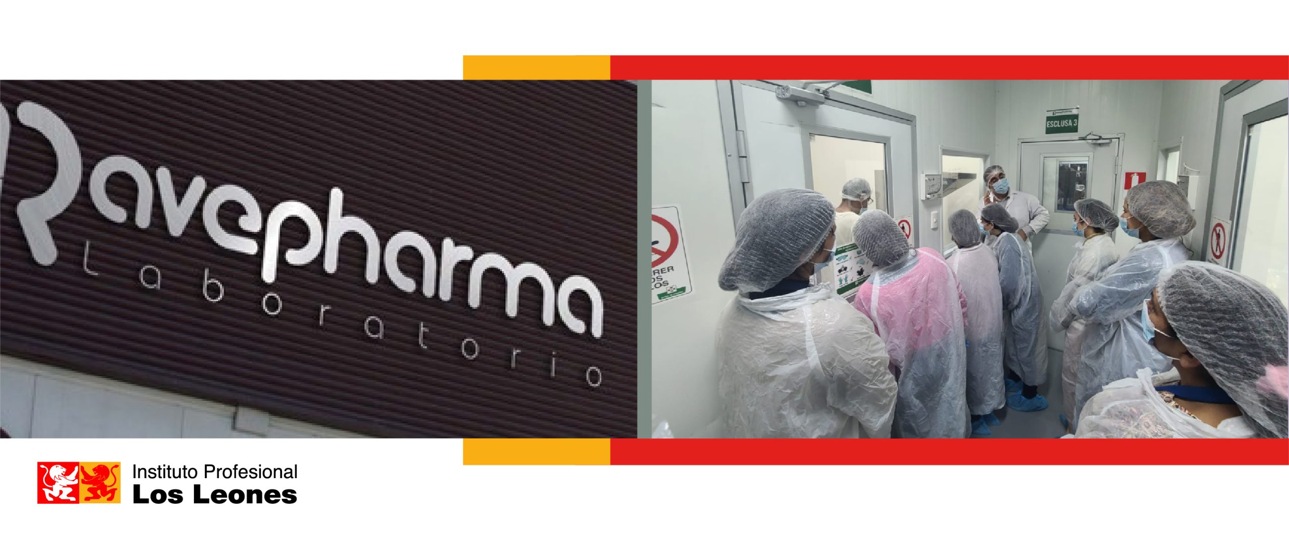 Estudiantes de Naturopatía visitan Droguería Ñuñoa y el Laboratorio Ravepharma